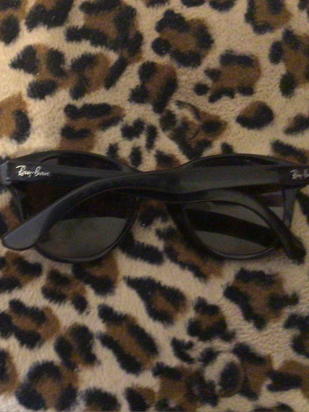 Ray-Ban Black Polarized Women's Sunglasses